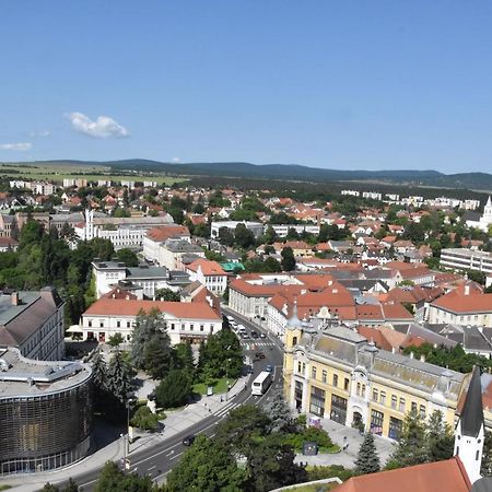 Panorama View Family Apartment Veszprem Luaran gambar