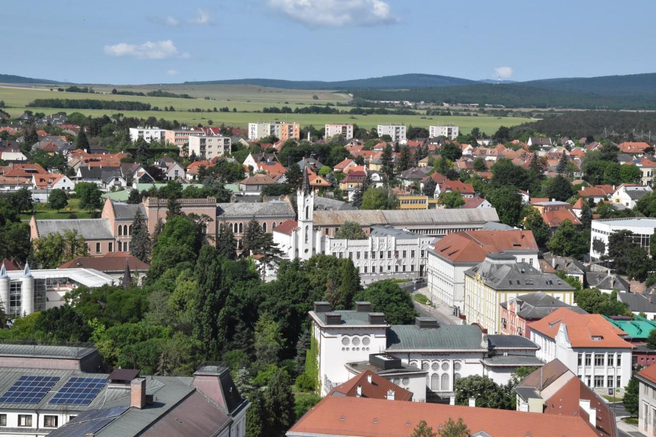 Panorama View Family Apartment Veszprem Luaran gambar