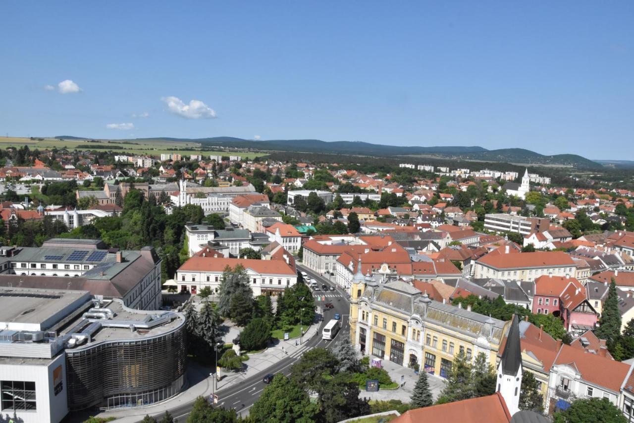 Panorama View Family Apartment Veszprem Luaran gambar